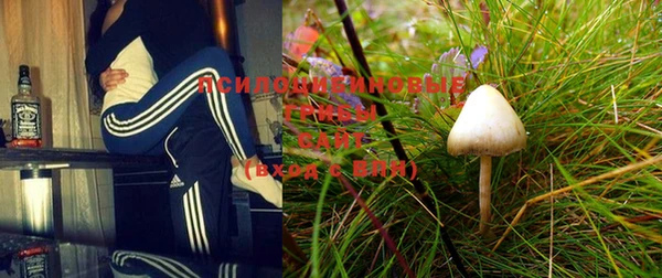 a pvp Медвежьегорск