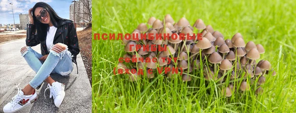 спайс Мегион