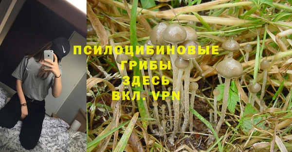 круглые Михайловск